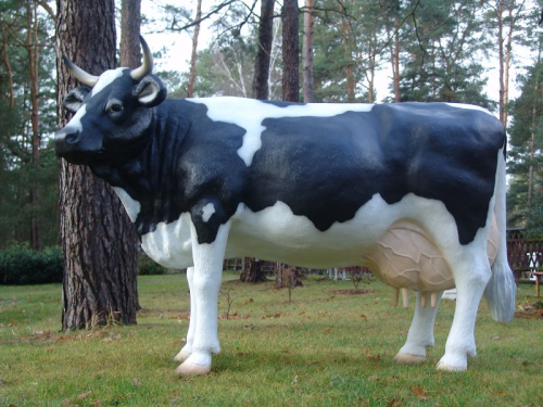 2208_Kathi 2208_Kathi