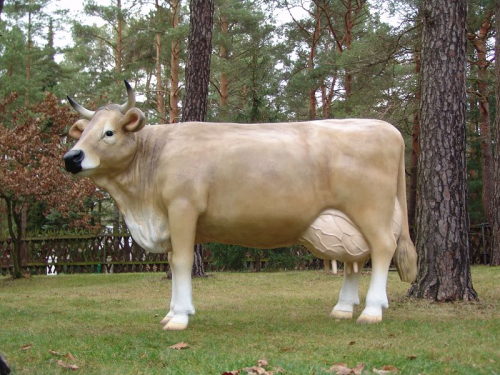 2211_Wilma 2211_Wilma