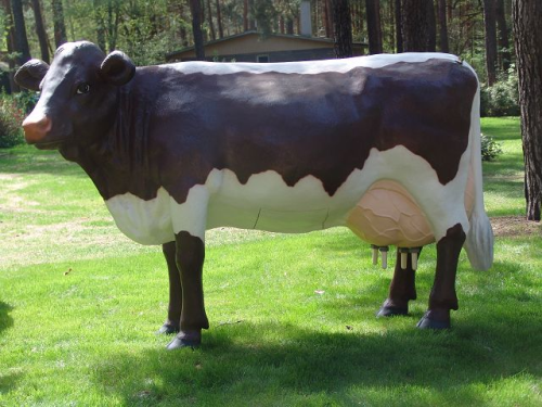 2223_Martha 2223_Martha