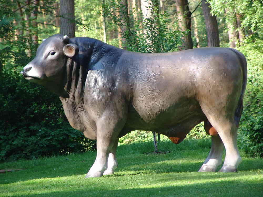 2228_Alois 2228_Alois