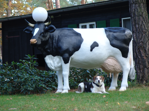 2234_Antonia 2234_Antonia