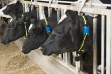 Monitoring krav s přidanou hodnotou